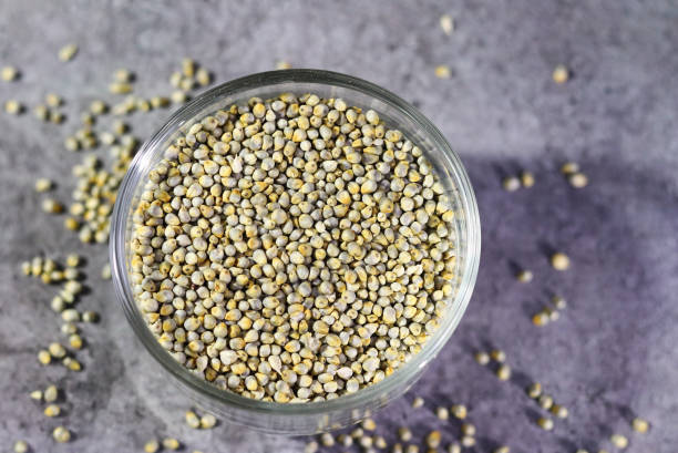 Bajra pearl millet grains