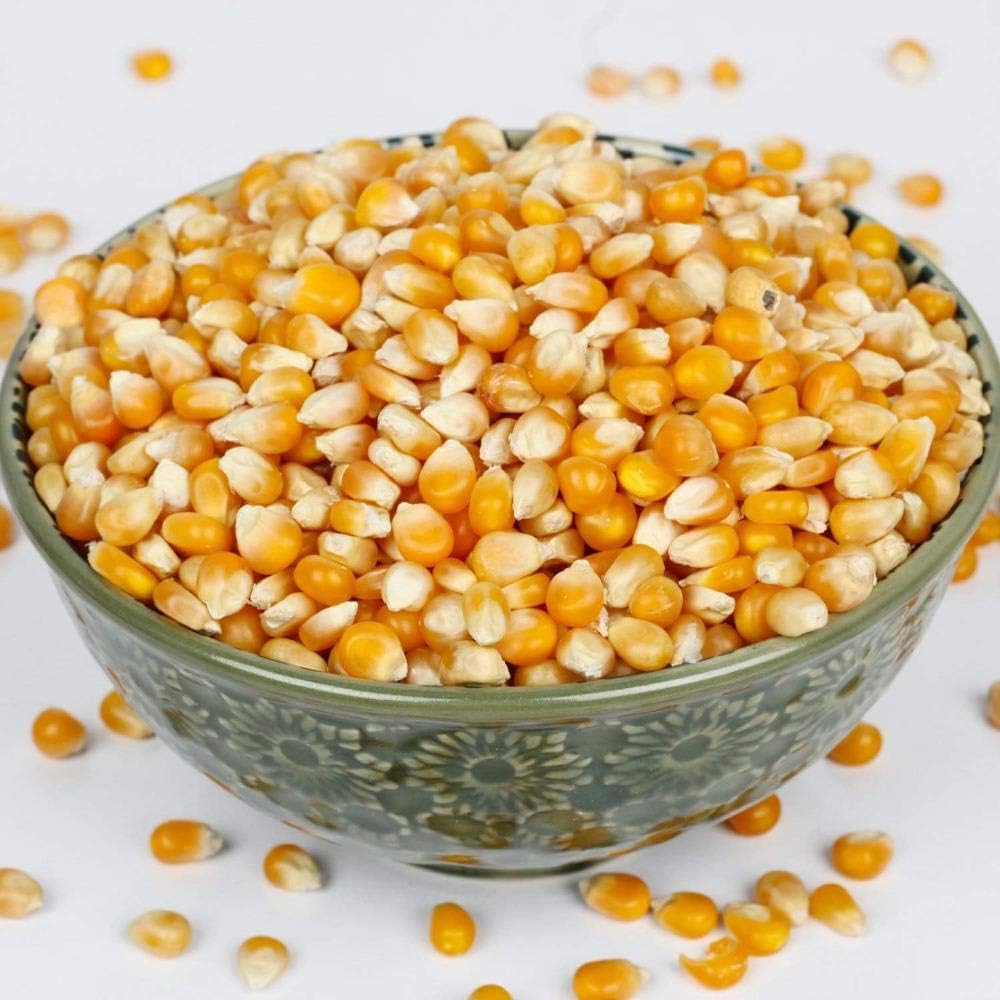 Fresh maize corn kernels